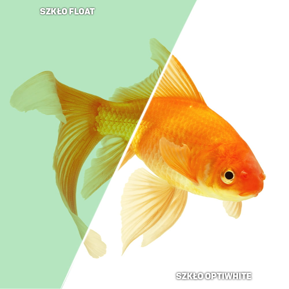 akwarium24 optiwite (2).jpg